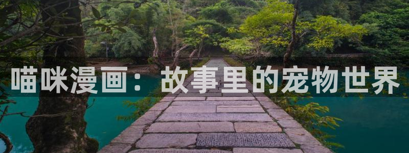 漫蛙manwa网页