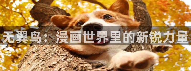 漫蛙免费漫