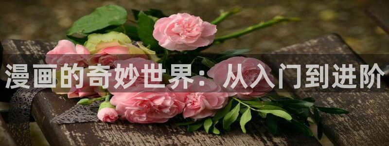 漫蛙 2