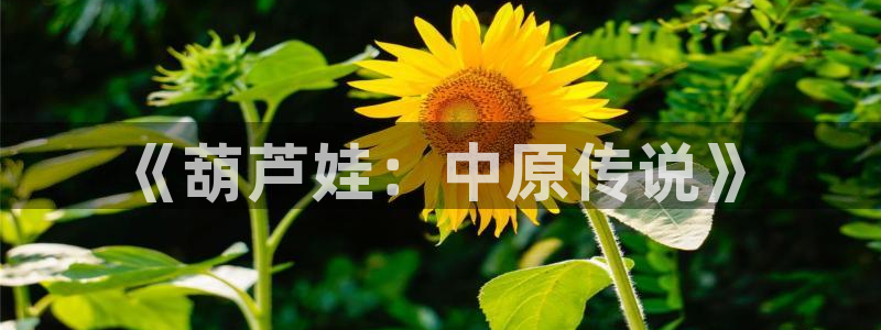 漫蛙库