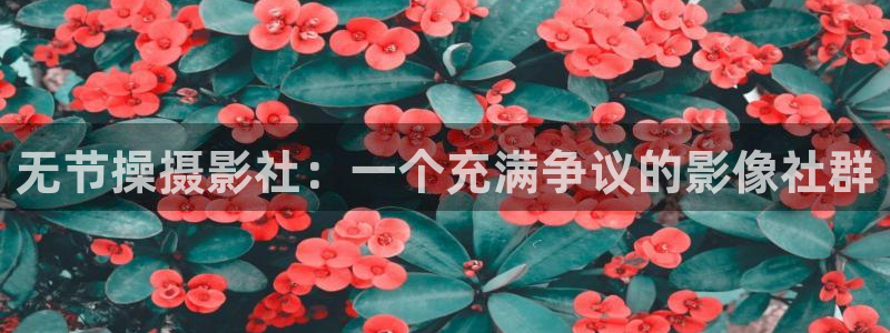 漫蛙官方正版